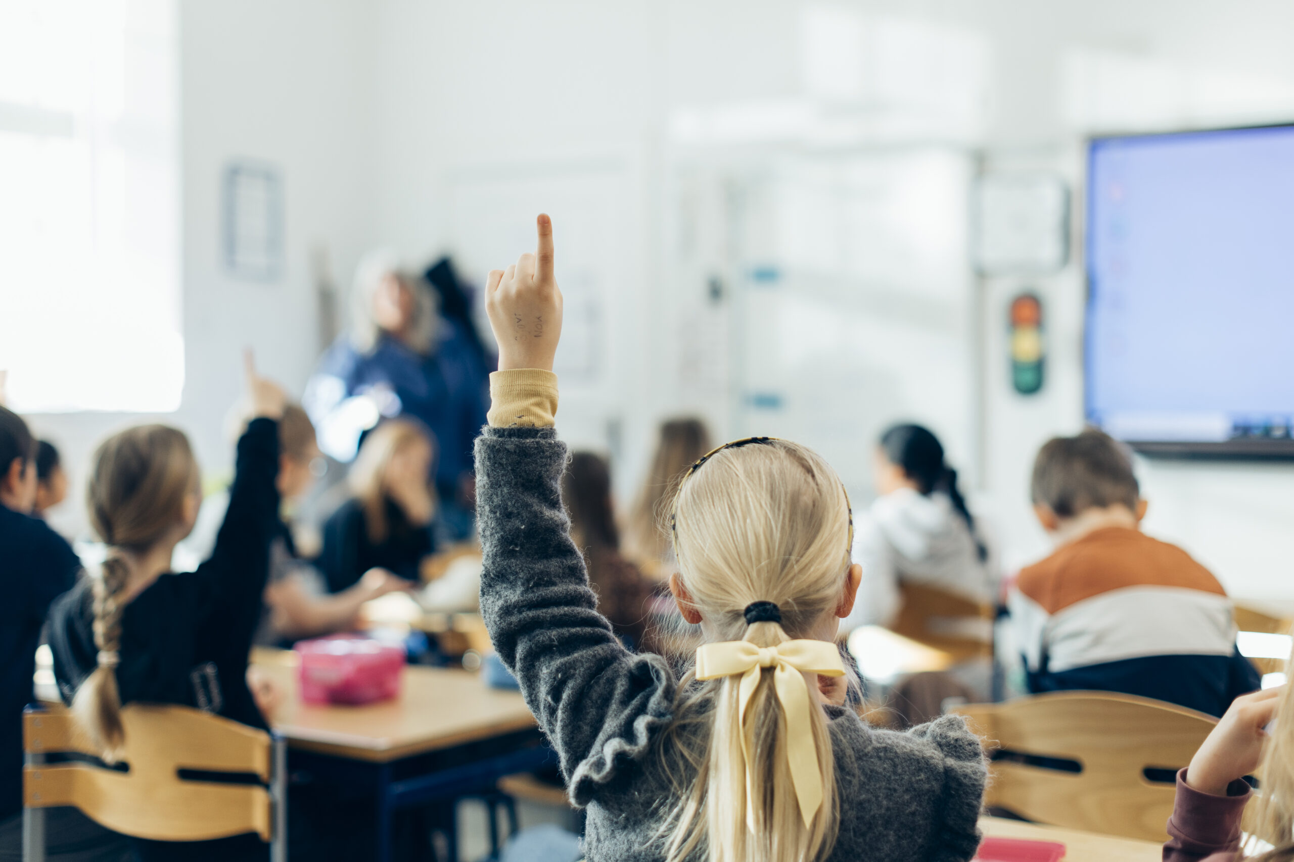 skolens venner elev i klasse